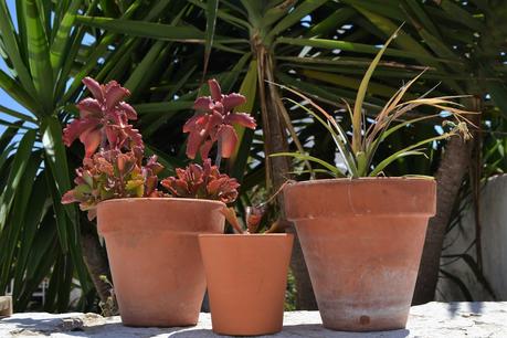 15 CONSEJOS PARA DECORAR UN RINCÓN DE EXTERIOR 15 CONSEJOS PARA DECORAR UN RINCÓN DE EXTERIOR