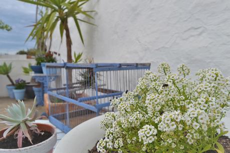 15 CONSEJOS PARA DECORAR UN RINCÓN DE EXTERIOR 15 CONSEJOS PARA DECORAR UN RINCÓN DE EXTERIOR