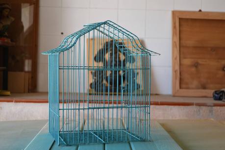 15 CONSEJOS PARA DECORAR UN RINCÓN DE EXTERIOR 15 CONSEJOS PARA DECORAR UN RINCÓN DE EXTERIOR