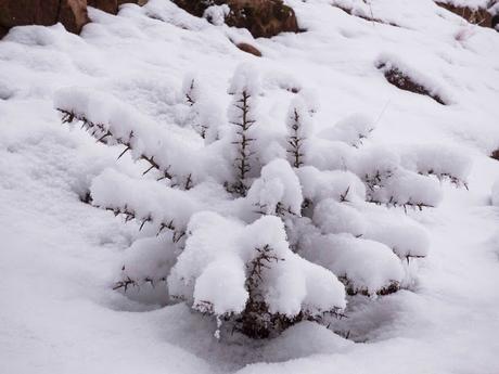 ALIAGA, LA EMISORA DE LA PRIMAVERA