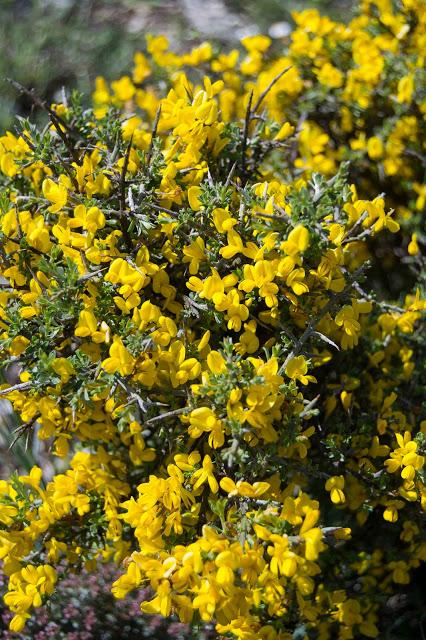 ALIAGA, LA EMISORA DE LA PRIMAVERA