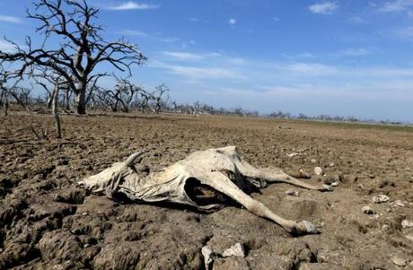San Luis Potosí enfrenta sequía severa