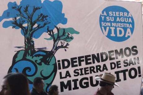 Gobierno de SLP pide a AMLO declarar Área Protegida a la Sierra de San Miguelito