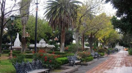 Invitan a reforestar y restaurar el Jardín de Tequis