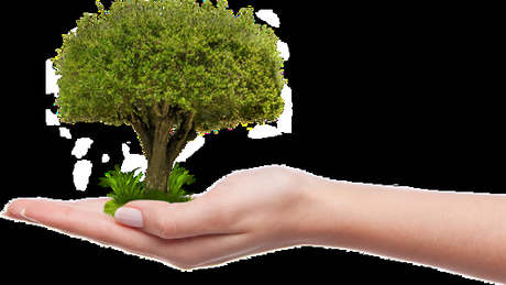 Ayuntamiento de SLP pretende quitar áreas verdes de avenida Kulkulcán