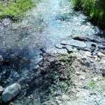 Aguas negras siguen descargándose impunemente en la Presa de San José