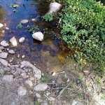 Aguas negras siguen descargándose impunemente en la Presa de San José