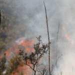Tierra Quemada / Fotoreportaje de Héctor Guevara