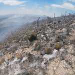 Tierra Quemada / Fotoreportaje de Héctor Guevara