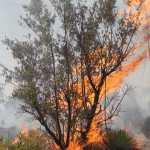 Tierra Quemada / Fotoreportaje de Héctor Guevara