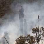 Tierra Quemada / Fotoreportaje de Héctor Guevara