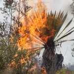 Tierra Quemada / Fotoreportaje de Héctor Guevara