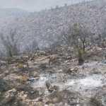 Tierra Quemada / Fotoreportaje de Héctor Guevara