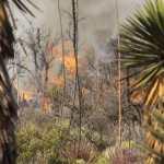 Tierra Quemada / Fotoreportaje de Héctor Guevara