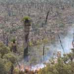 Tierra Quemada / Fotoreportaje de Héctor Guevara