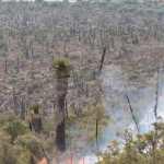 Tierra Quemada / Fotoreportaje de Héctor Guevara