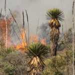Tierra Quemada / Fotoreportaje de Héctor Guevara