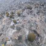 Tierra Quemada / Fotoreportaje de Héctor Guevara