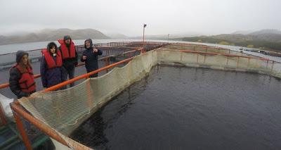 Relevan establecimientos acuícolas en embalse Alicurá
