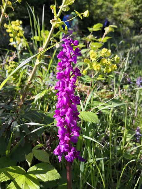 Peña Rueda y Agüeria desde Lindes