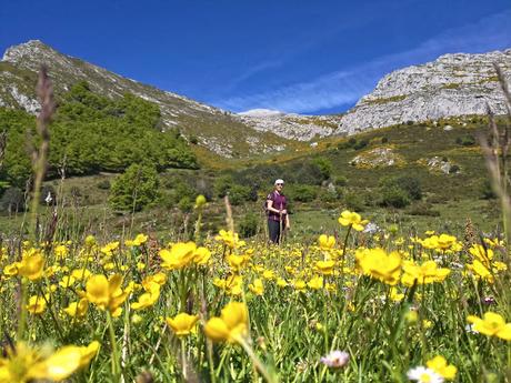 Peña Rueda y Agüeria desde Lindes