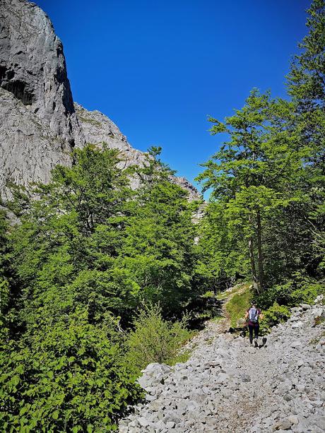 Peña Rueda y Agüeria desde Lindes