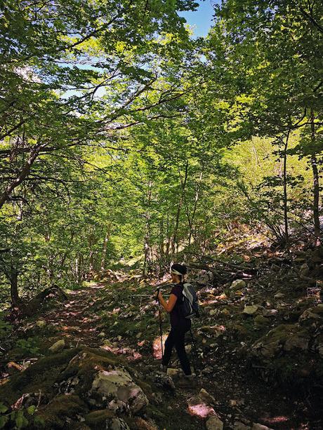 Peña Rueda y Agüeria desde Lindes Peña Rueda y Agüeria desde Lindes