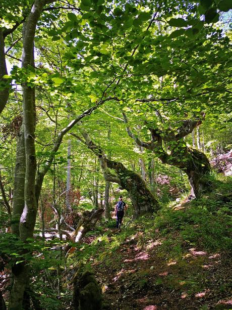 Peña Rueda y Agüeria desde Lindes Peña Rueda y Agüeria desde Lindes