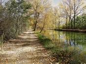 Mismo destino, distintos caminos