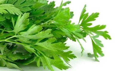 Infusiones para bajar la tensión alta Infusión de perejil para la hipertensión