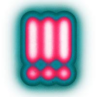 !!!, UR Paranoid / Off The Grid