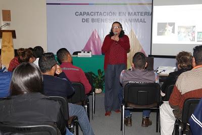 PROMUEVE PROPAEM CULTURA DE BIENESTAR ANIMAL Y MANEJO DE ANIMALES DE COMPAÑÍA Y EN SITUACIÓN DE CALLE