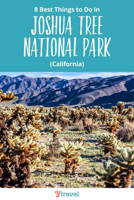 things-to-do-in-joshua-tree-national-park-1 ▷ Comente 8 cosas maravillosas que hacer en el Parque Nacional Joshua Tree, California para 2019 Preview y 2018 Travel Year Review - HoneyTrek 2018 Travel Year in Review