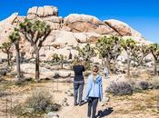 Comente cosas maravillosas hacer Parque Nacional Joshua Tree, California para 2019 Preview 2018 Travel Year Review HoneyTrek