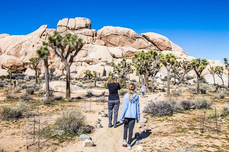 things-to-do-in-joshua-tree-national-park ▷ Comente 8 cosas maravillosas que hacer en el Parque Nacional Joshua Tree, California para 2019 Preview y 2018 Travel Year Review - HoneyTrek 2018 Travel Year in Review
