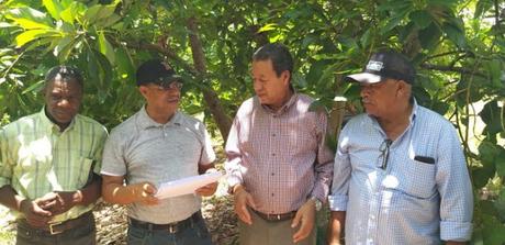 Productores de Provincia Bahoruco reciben curso de producción aguacates