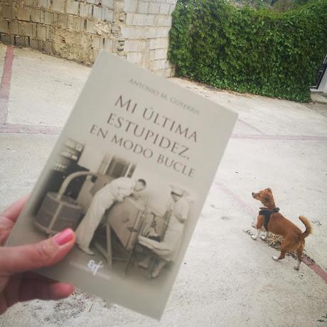 Pasen y Lean XVI: Lecturas de Abril y Mayo Pasen y Lean XVI: Lecturas de Abril y Mayo