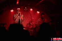 Cabana en El perro de la parte de atrás del coche