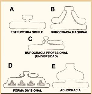 Diseño organizacional: La burocracia profesional en el sector público.