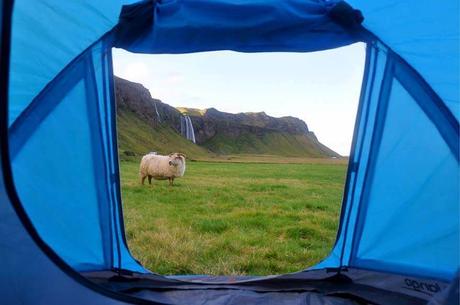 Tent-camping-in-Iceland-experience-and-tips.jpg.optimal ▷ Camping en Islandia (Todas sus preguntas contestadas)