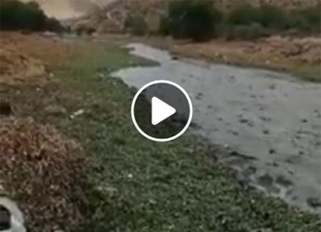 Vídeo: aguas negras descargan en la Presa de San José
