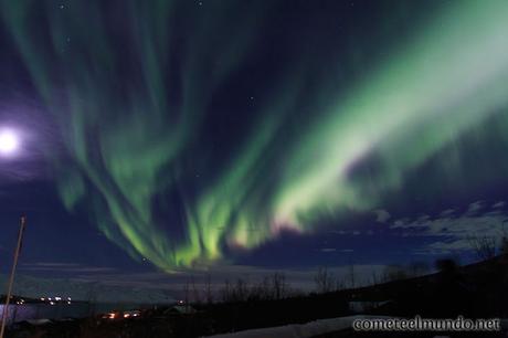 cielo-completamente-cubierto-por-auroras Todo lo que tienes que ver en Reikiavik en un dia