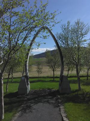 El jardín botánico de Skrúður, en Núpur
