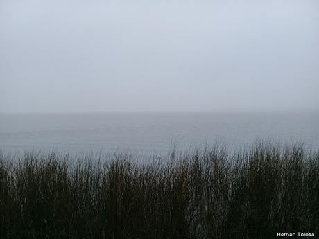 Gran Día Mundial (4 de mayo de 2019)