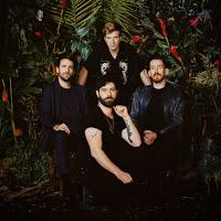 Foals