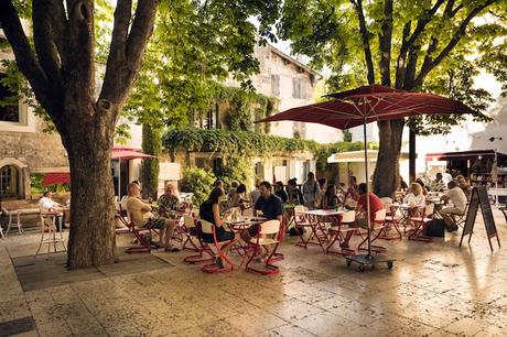 saint_remy_de_provence ▷ Dónde alojarse en la Provenza