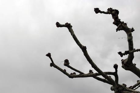 Desde las alturas Desde las alturas