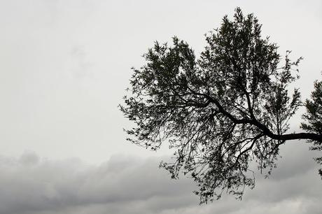 Desde las alturas Desde las alturas