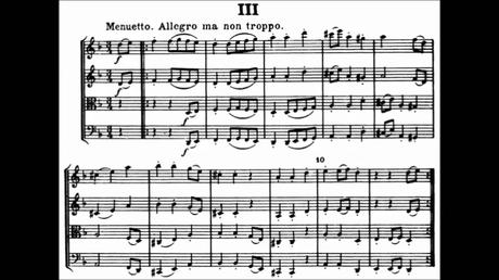 Haydn: Voces Que Han Perdido La Esperanza