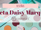 Paleta Daisy Marquez Cosmetics (Reseña Looks Swatches)